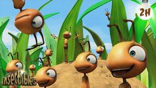 Ants At A Picnic |  Antiks & Insectibles  | Funny Cartoons for Kids | Moonbug