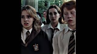 Ron Weasley and Hermione Granger | #edit #harrypotter #romione #shorts