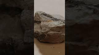 Unboxing uranium ore #shorts