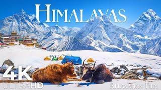 The Himalayas in 4K - Majesty of Everest Peak - Nature Relaxation Film 4K Ultra HD