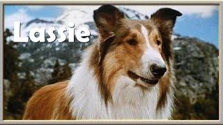 Lassie - Intro & Outro [1954]