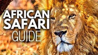 African Safari Guide: Everything you need to know ️