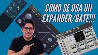 COMO SE USÁ UN EXPANDER GATE Ó PUERTA DE RUIDO