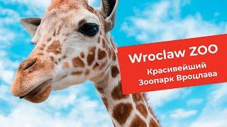 The most beautiful Wroclaw Zoo