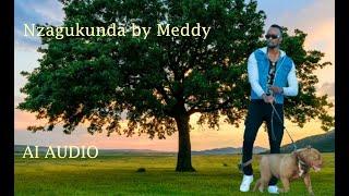 Nzagukunda by Meddy(Official video)