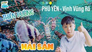 Khám Phá Vũng Rô Phú Yên - Thiên Đường Hải Sản Đỉnh Cao | Bí Kíp Du Lịch Phú Yên