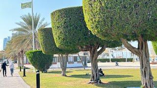 Абу Даби ЯнврьCorniche Beache.Пляж с белым песком), и Шопинг в Абу Даби Марина