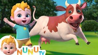 Moo Moo The Cow | Nursery Rhymes & Kids Songs | NuNu Tv