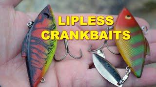 Lipless Crankbaits: Best Rod, Reel, And Line Combo | How To | Bass Fishing