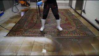 There was so much dirt in the rug where the dog slept for years Dirty rug cleaning 