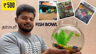 Only ₹500 | Fish Bowl | Entire Setup | Dharmapuri (தர்மபுரி) Motovlogs | Dharmapuri Vlogs