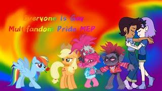 Everyone Is Gay Multifandom Pride MEP