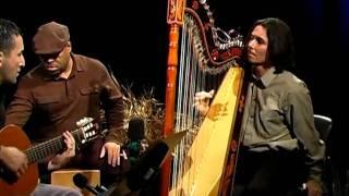 El Tren Lechero - Nicolas Carter on Paraguayan harp