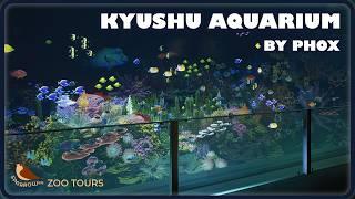 Kyushu Aquarium  by phox | Zoo Tours with Sparrow838