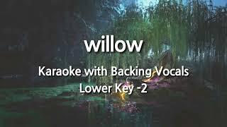 willow (Lower Key -2) Karaoke with Backing Vocals