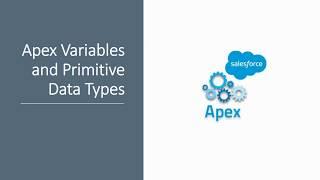 Salesforce Primitive Data Types and Variables in Apex