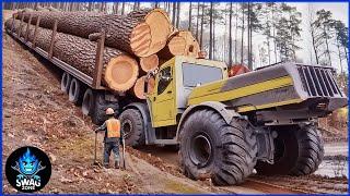 250 EXTREME Dangerous Biggest Wood Logging Truck  Operator Skill Working At Another Level