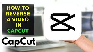 How To Reverse A Video On CapCut (2023)