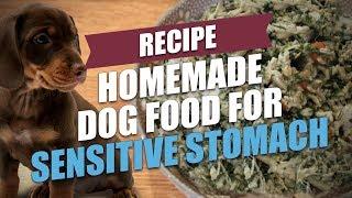 Homemade Dog Food for Sensitive Stomach Recipe (for GI disorders)