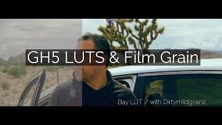 GH5 LUTS & Film Grain