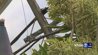 7 downed poles close road in Kailua