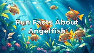 Fun Facts About Angelfish