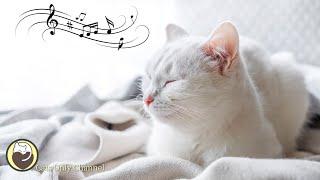 Relaxing Music for Cats - Harp Music that Gives Comfort to Cats