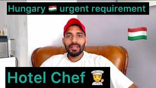 Hungary urgent requirement, hotel chef ‍  ￼ male female