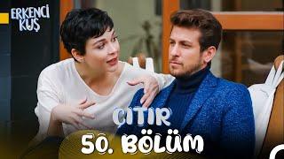 Erkenci Kuş 50. Çıtır Bölüm: İtinayla Nifak Tohumu Ekilir