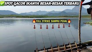 Rekomendasi Spot Gacor Ikanya Besar TerbaruFull Strike Sampai Pegal,Mancing Jatiluhur Terbaru