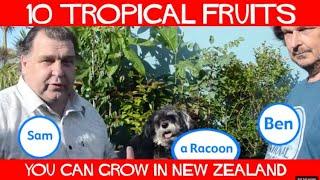 10 Tropical Fruits You can Grow in New Zealand