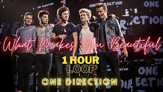 One Direction I What Makes You Beautiful 1 HOUR