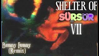 Shelter of SurSur 7 OST - Bunny Funny (Remix)