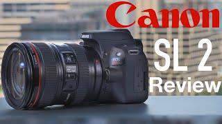 Canon SL2 (200D) Review BEST Camera for Beginners