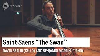 The Swan by Saint-Saëns performed by David Berlin and Benjamin Martin