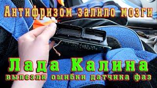 Залило мозги антифризом, начались проблемы. Лада Калина! Что делать? Ошибки датчика фаз!