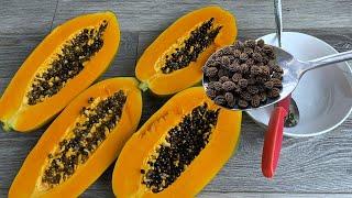 How to store papaya seeds for 3-5 years