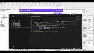 Executing Python Scripts Easily | functionizeBIM