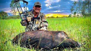 2 EPIC BOW HUNTS for Wild Boar with NO EARS!!!! {Catch Clean Cook} Brand New Bow!