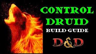 Wildfire Druid Build Guide: D&D