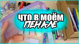 ЧТО В МОЁМ ПЕНАЛЕ 2019 СОБИРАЮ ПЕНАЛ В ШКОЛУ BACK TO SCHOOL регина маг