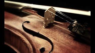 Violin instrumental Collection | Positive Vibe