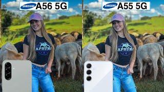 Samsung Galaxy A56 5G Vs Samsung Galaxy A55 Camera Test Comparison