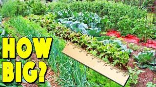 How Much To Plant For A Family Of 4 To Be Self Sufficient (7 Factors That WILL Impact Garden Size)