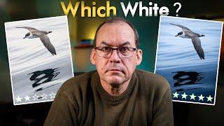 Get White Right in LIGHTROOM!  How the PROS nail WHITE BALANCE AND WHITE BRIGHTNESS.