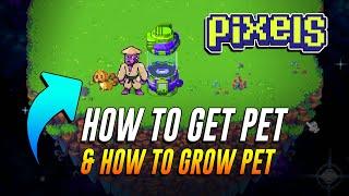 HOW TO GET PET AND HOW TO GROW PET IN PIXELS ONLINE