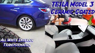 Ceramic Coating My Tesla Model 3 LR RWD