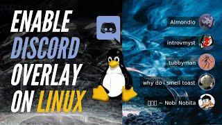 How to enable Discord overlay on Linux (for Among Us and other games)