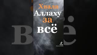 хвала Аллаху за всё