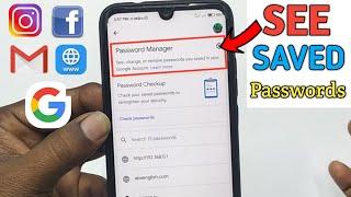 How to See Your All Saved Password in Your Phone in 2024